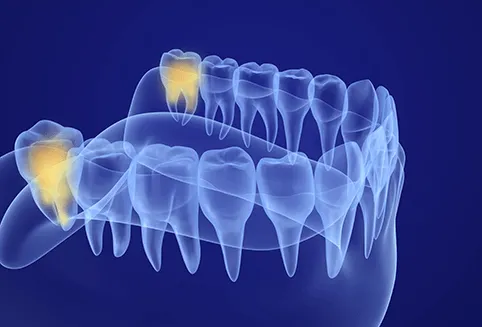 1761330938_48219785f3594521acc63a5fbb5d8a01